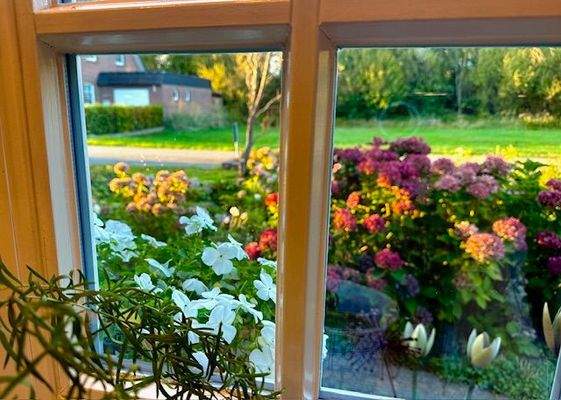 und Blick in die Abendsonne aus dem Küchenfenster