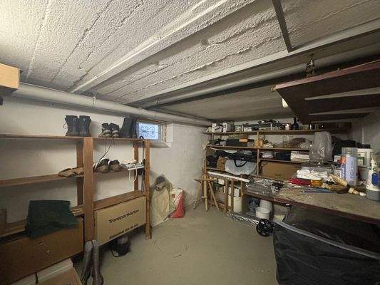 H 543 Kellerraum mit Regalen.jpg