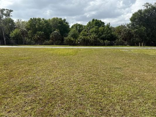 Florida 6.jpg