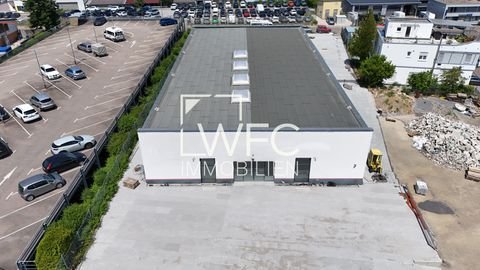 Backnang Halle, Backnang Hallenfläche
