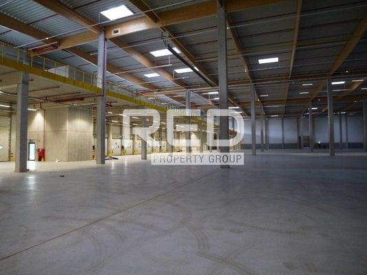 Halle miten Mönchengladbach