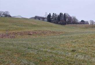 landw. Grünland.jpg