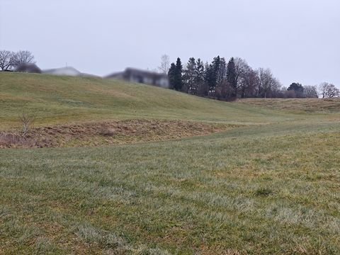 Kranzberg Bauernhöfe, Landwirtschaft, Kranzberg Forstwirtschaft