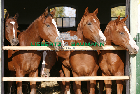 Düsseldorf Bauernhöfe, Landwirtschaft, Düsseldorf Forstwirtschaft
