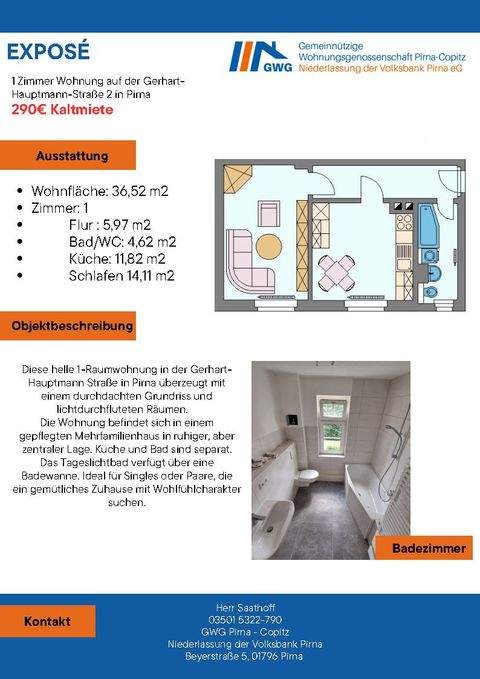 Pirna Wohnungen, Pirna Wohnung mieten