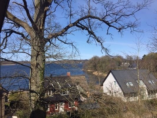Blick zum See