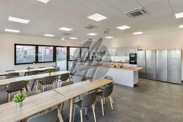 INFOS UNTER: 06171-586000