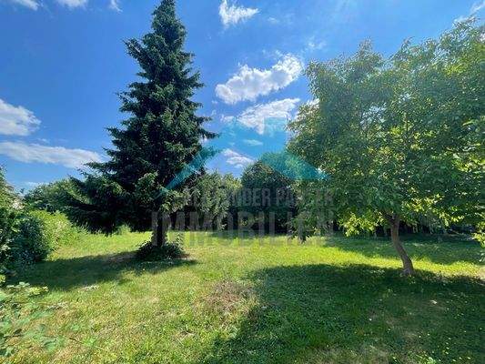 Parkähnliches Grundstück