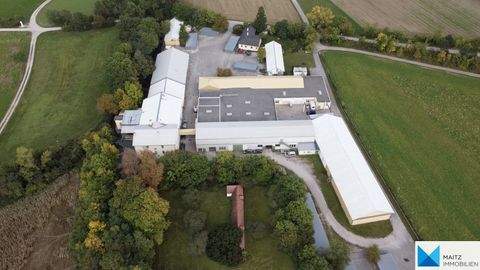 Schwarzau am Steinfeld Halle, Schwarzau am Steinfeld Hallenfläche