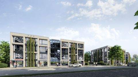 Rheine Grundstücke, Rheine Grundstück kaufen