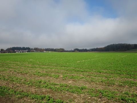 Poggersdorf Grundstücke, Poggersdorf Grundstück kaufen