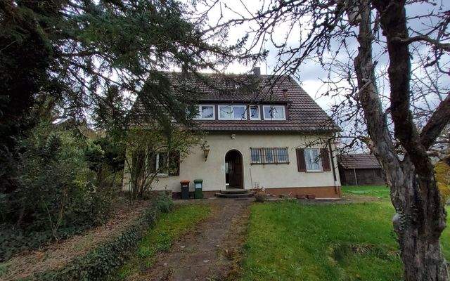 Seitenansicht Haus.jpg