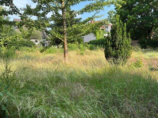 zu verkaufende Grundstücksfläche