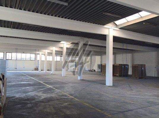 INFOS UNTER: 06171-586000