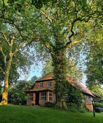 Objektansicht (Norden)