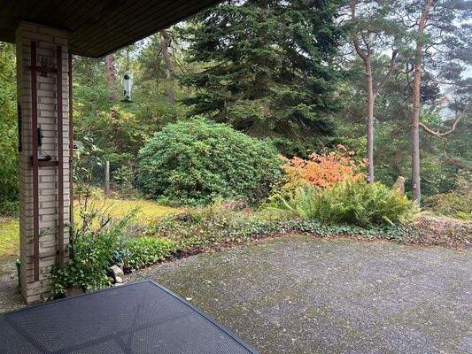 Blick von der Terasse (2)