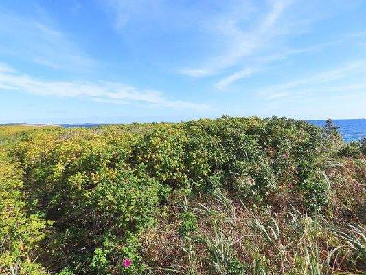 Cape Breton - Traumhaft schöne Atlantik-Lage am Be