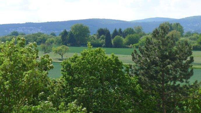 Ihr Blick ins Grüne 