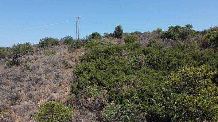 Kreta, Neo Chorio: Grundstück zu verkaufen