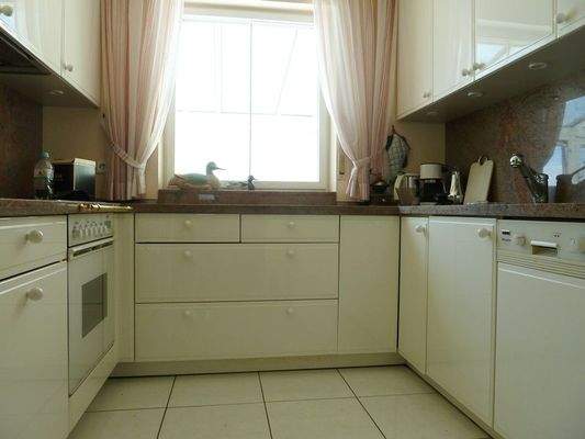 Moderne Einbauküche