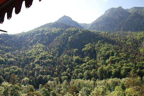 fewoschro321balbli1 .jpg