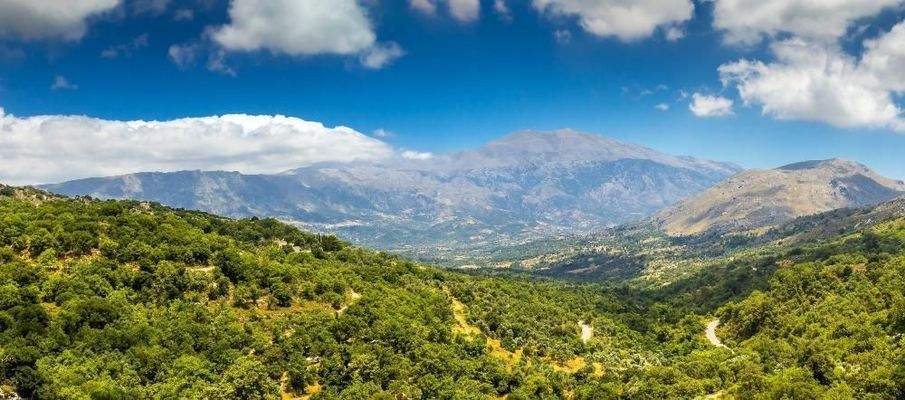 Kreta, Agii Pantes: Klassisches Steinhaus in traditionellem Dorf zu verkaufen