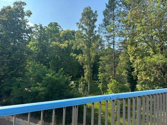 Blick vom Balkon in den Hofgarten