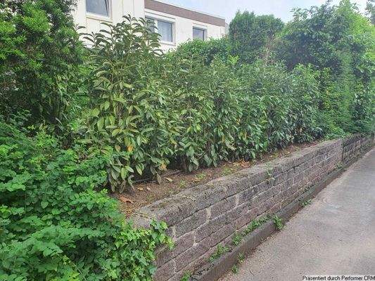 Natursteinmauer und Hecke