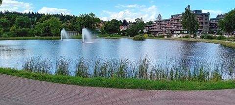 Goslar Wohnungen, Goslar Wohnung kaufen
