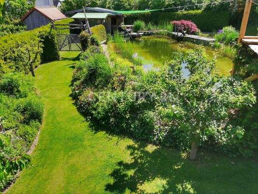 Garten mit Naturteich im Sommer