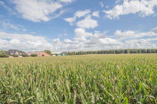 Der Ausblick ins Grüne