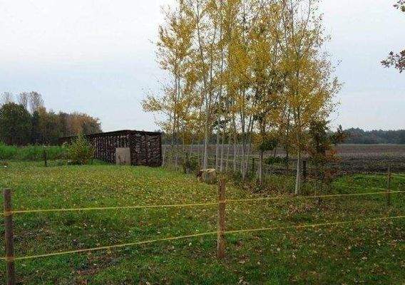 Blick auf das Wohngrundstück