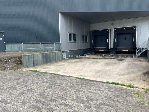 Düren Halle, Düren Hallenfläche