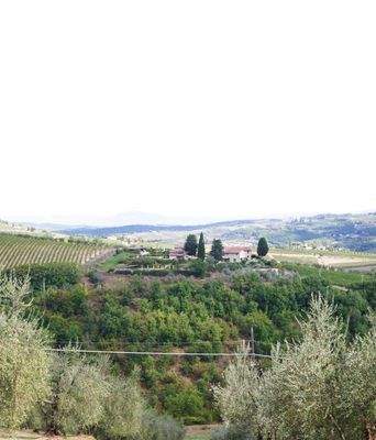 View from the property hill