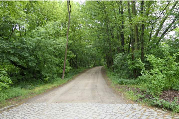 Umgebung Richtung See.png