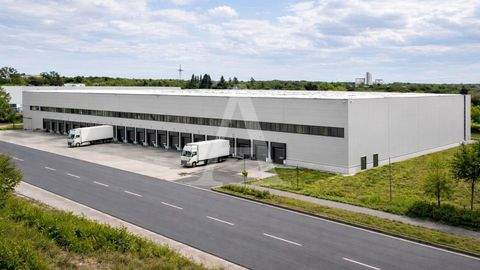 Köln Halle, Köln Hallenfläche