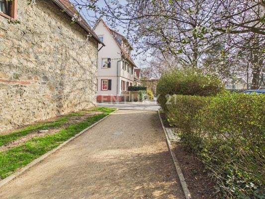 Altstadt Zwingenberg nur wenige Meter entfernt