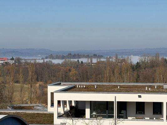Blick auf die Mainau