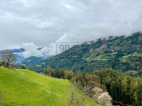 Terenten Häuser, Terenten Haus kaufen