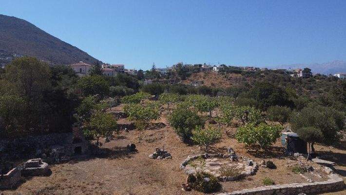 Kreta, Kokkino Chorio: Ruhiges Landgrundstück mit Dorfnähe zu verkaufen