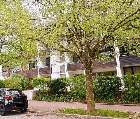 Königsfeld Renditeobjekte, Mehrfamilienhäuser, Geschäftshäuser, Kapitalanlage