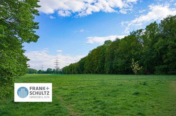 Natur hinter den Garagen