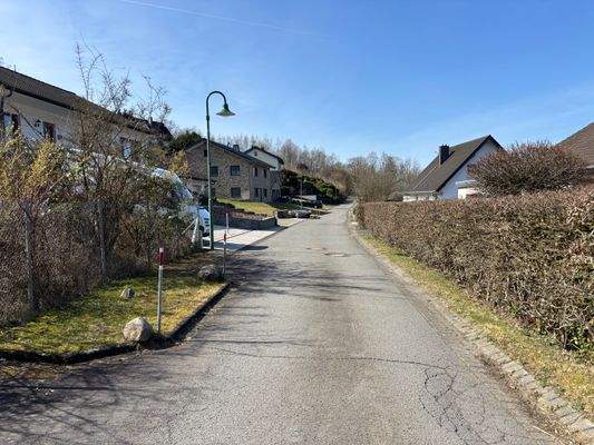 Teilansicht Erschließungsstrasse 