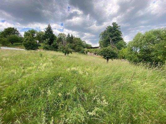 Hangaufwärts Richtung Nordost.jpg