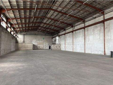 Köln Halle, Köln Hallenfläche