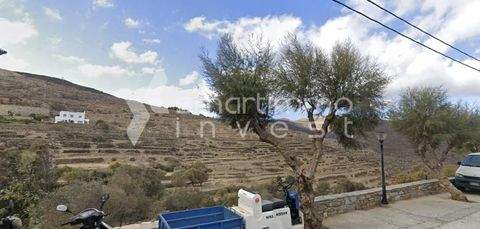 Ormos Panormou, Tinos Bauernhöfe, Landwirtschaft, Ormos Panormou, Tinos Forstwirtschaft