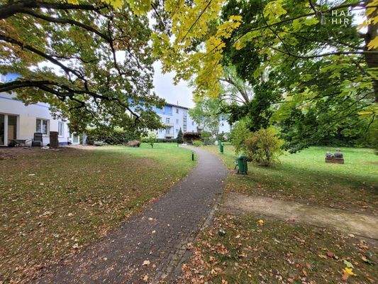 20251007_121030_resized