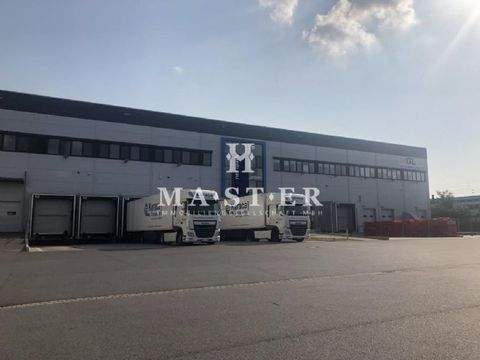 Recklinghausen Halle, Recklinghausen Hallenfläche