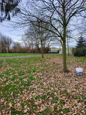 Grundstück Harmenhausen.jpg