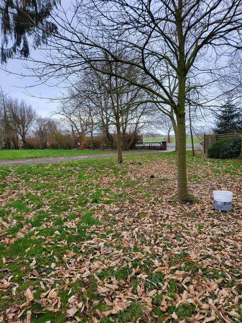 Berne Grundstücke, Berne Grundstück kaufen